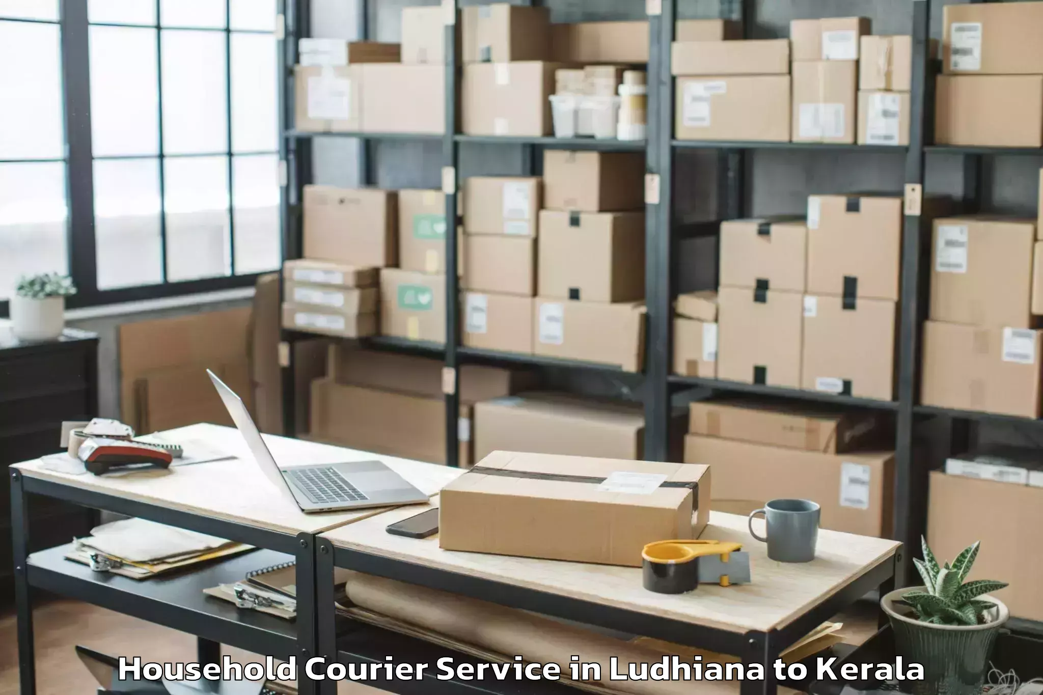 Top Ludhiana to Nileshwar Household Courier Available